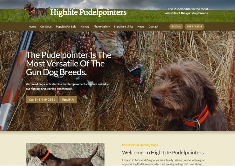 Highlife Pudelpointers