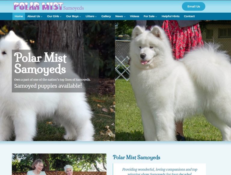 Polar Mist Samoyeds