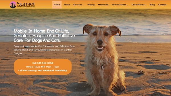 Sunset Veterinary Services Invoice February